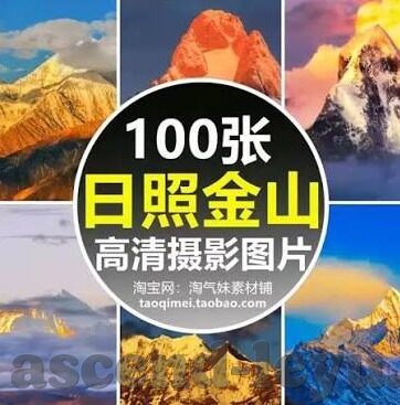 球琛比分足球快捷-球琛比分，足球迷的快捷资讯与深度分析一站式平台